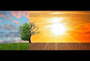 climate change, global warming, climate-2063240.jpg